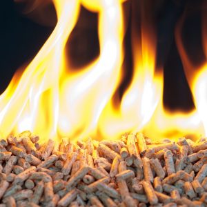 flamme-bois-granule