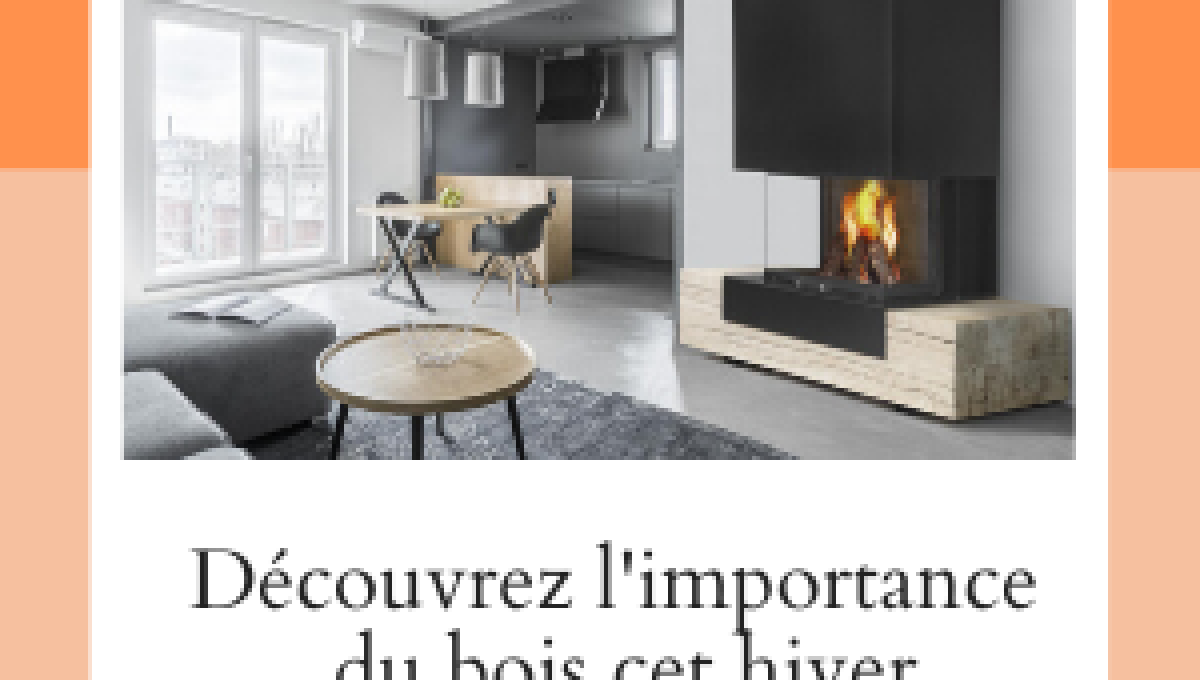 L'importance du bois cet hiver