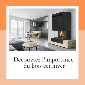 L'importance du bois cet hiver L'importance du bois cet hiver