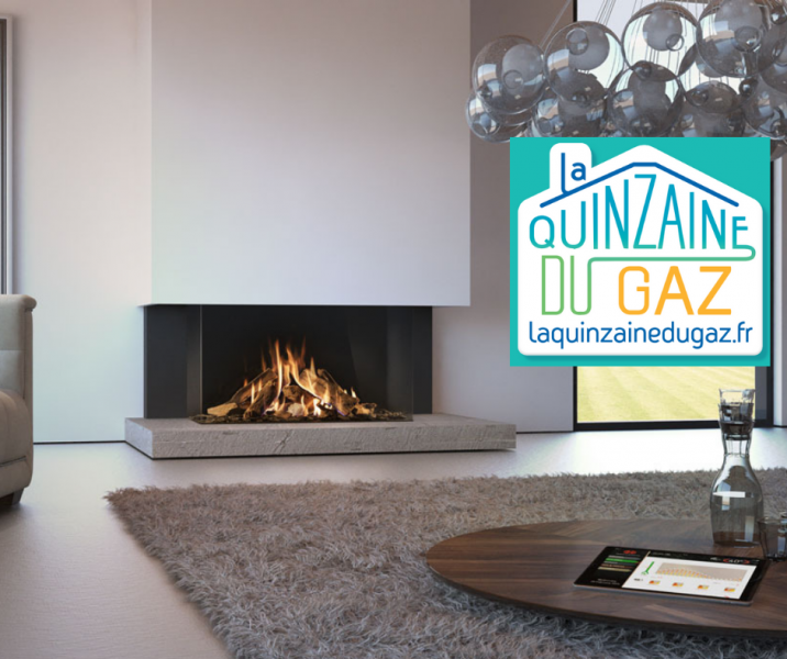 promotion cheminée gaz