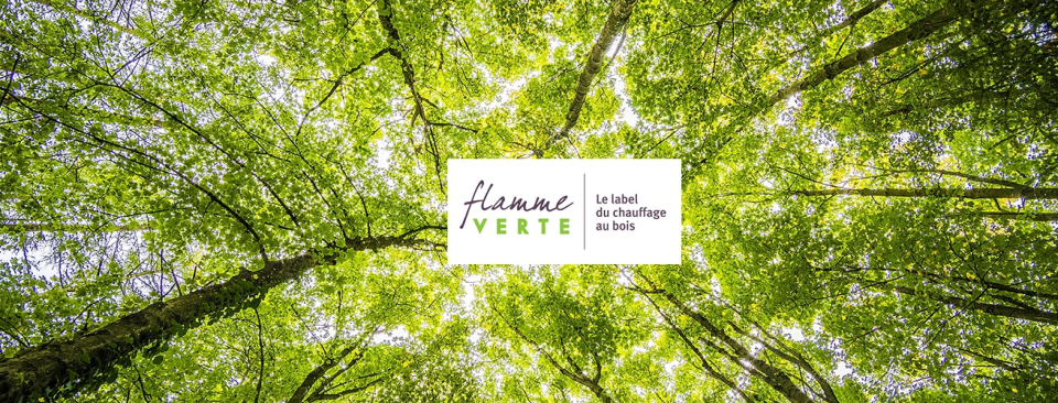 flamme verte