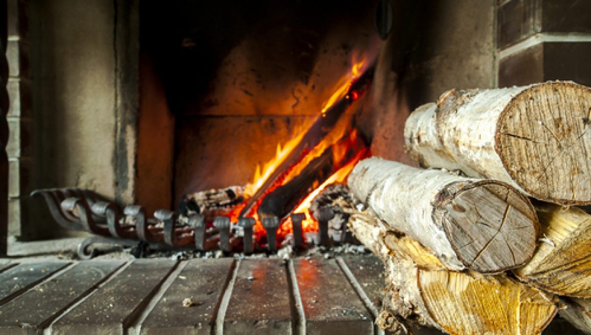 Poêle à Bois ou Poêle à Granulés ?