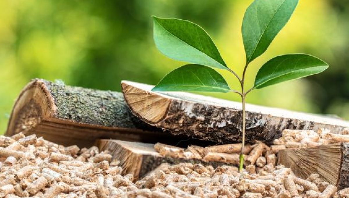 Quel est le plus écologique ; Bois VS Granulés ?