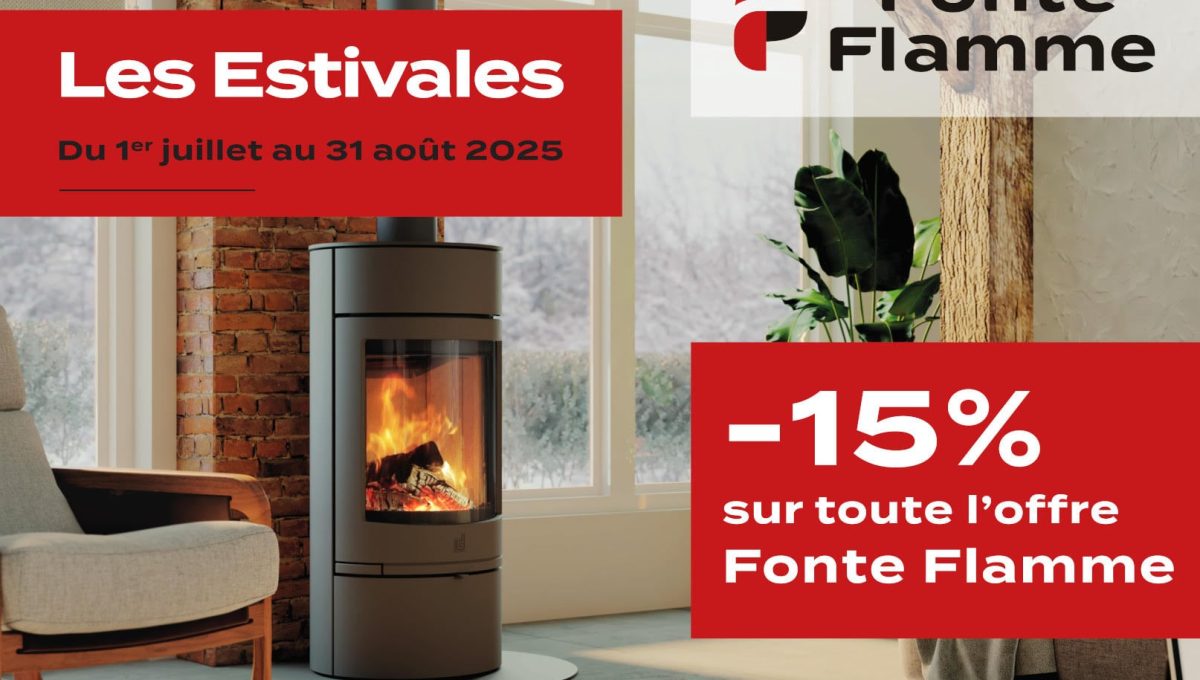 Promotion : Poêle à Bois, Poêle à Granulés et Insert